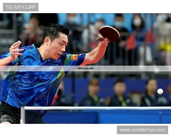 乐动体育娱乐为体育爱好者提供专业的赛事分析、专家解读和个性化推荐，提升你的观赛体验和体育知识水平